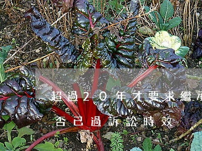 超過20年才要求繼承遺產(chǎn)是否已過訴訟時效？